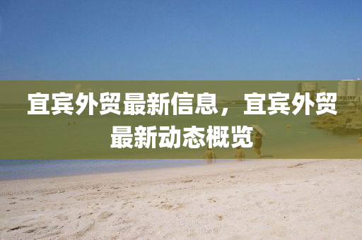 新澳与香港天天开奖资料大全600风控剖析、专家解析解释与落实,拒绝虚假噱头