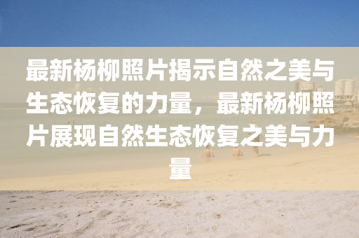7777788888新版跑狗 管家婆:保障分析、专家解读解释与落实,留心误导的烟雾弹