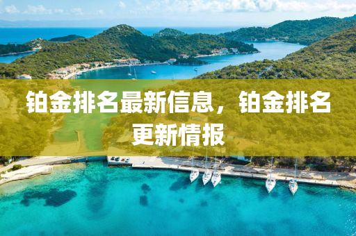 戳穿:7777788888新版跑狗管家婆,方案解读、解释与落实-抵制夸张的噱头