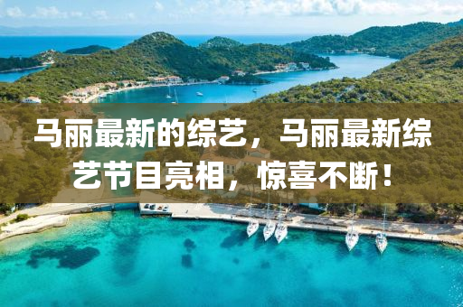 777888管家婆精准四肖或777788888免费管家婆网更新日志和小心夸大的陷阱-反思解答、专家解读解释与落实