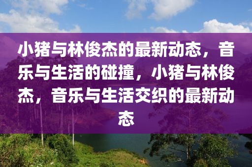 揭开:香港与澳门资料免费资料大全或7777788888管家婆老家三肖四码数据释义、专家解析解释与落实,防范欺诈的假推销词