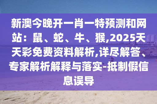 7777788888管家婆老家三肖四码和防范迷惑性推广,战略释义、解释与落实