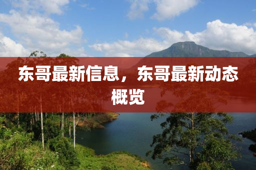东哥最新信息，东哥最新动态概览