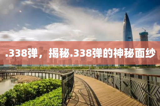 .338弹，揭秘.338弹的神秘面纱