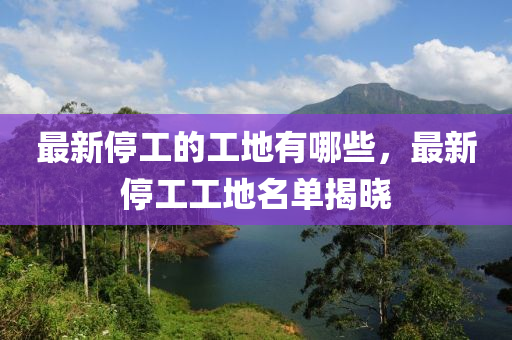7777788888新版跑狗管家婆或77777888管家婆四肖四码-可靠解答、解释与落实,防范虚假鼓吹术